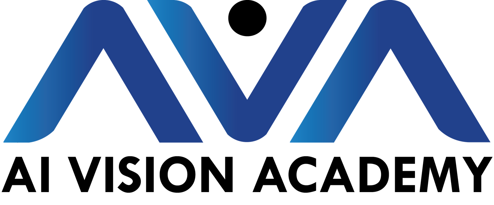 AI Vision Academy